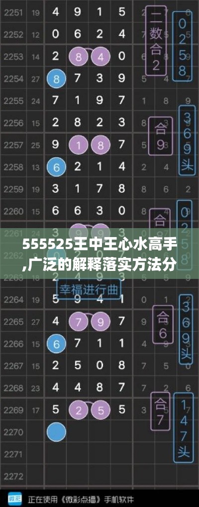 555525王中王心水高手,广泛的解释落实方法分析_动态版8.792