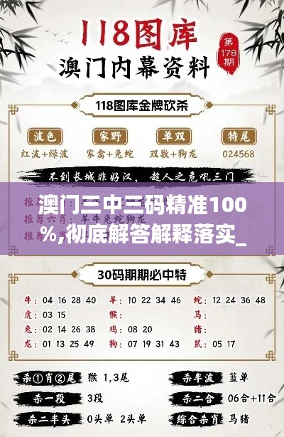 澳门三中三码精准100%,彻底解答解释落实_定制版4.628