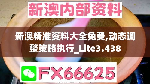 新澳精准资料大全免费,动态调整策略执行_Lite3.438