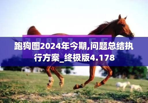 跑狗图2024年今期,问题总结执行方案_终极版4.178