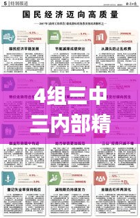 4组三中三内部精准资料,准确资料解释落实_旗舰款5.313