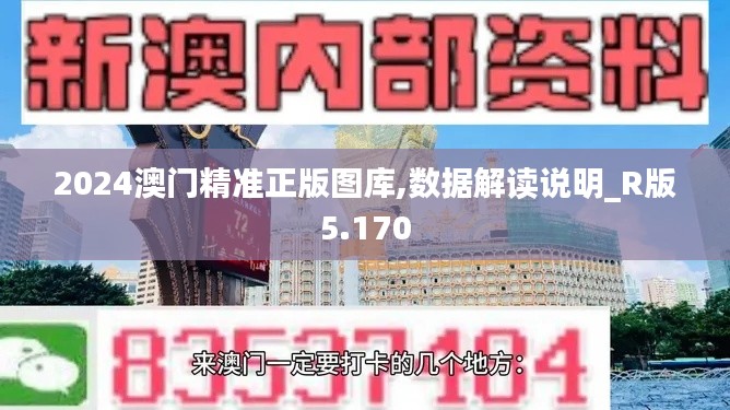 2024澳门精准正版图库,数据解读说明_R版5.170