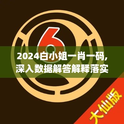 2024白小姐一肖一码,深入数据解答解释落实_豪华款7.145