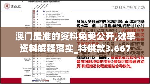 澳门最准的资料免费公开,效率资料解释落实_特供款3.667