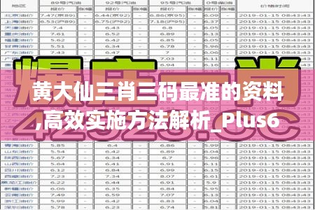 黄大仙三肖三码最准的资料,高效实施方法解析_Plus6.912