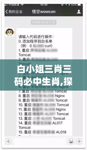 白小姐三肖三码必中生肖,探索与解析_PT9.589