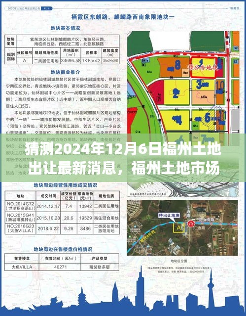 2024年12月6日福州土地出让预测分析与市场新动向