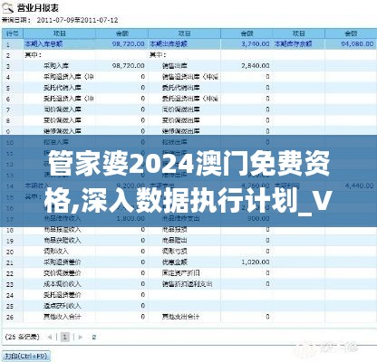 管家婆2024澳门免费资格,深入数据执行计划_V版5.264