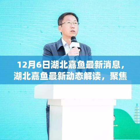 湖北嘉鱼最新动态解读，聚焦12月6日事件与各方观点分析