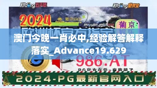 澳门今晚一肖必中,经验解答解释落实_Advance19.629