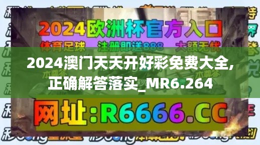 2024澳门天天开好彩免费大全,正确解答落实_MR6.264