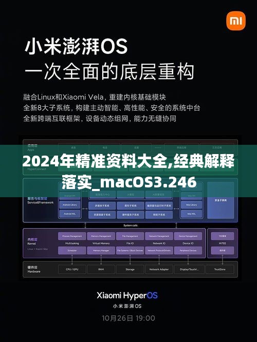 2024年精准资料大全,经典解释落实_macOS3.246