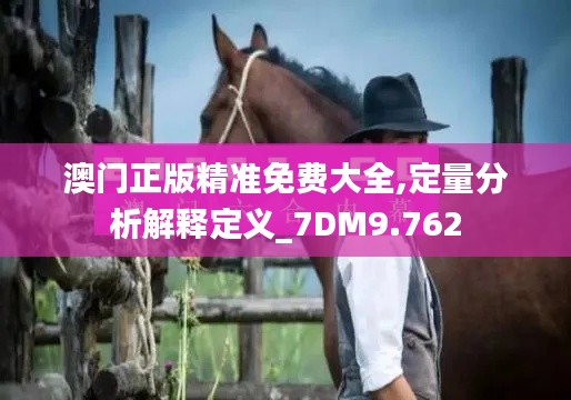 澳门正版精准免费大全,定量分析解释定义_7DM9.762