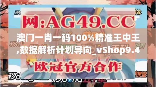 澳门一肖一码100%精准王中王,数据解析计划导向_vShop9.466