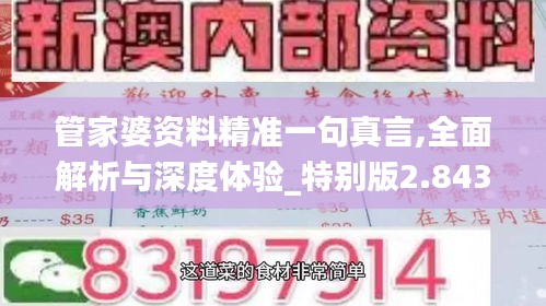 管家婆资料精准一句真言,全面解析与深度体验_特别版2.843