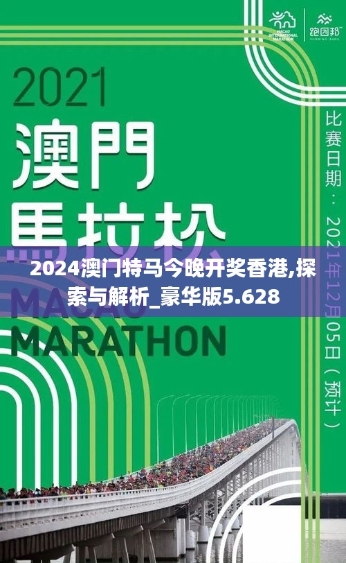 2024澳门特马今晚开奖香港,探索与解析_豪华版5.628