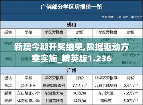 新澳今期开奖结果,数据驱动方案实施_精英版1.236