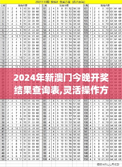 2024年新澳门今晚开奖结果查询表,灵活操作方案设计_精装版6.479