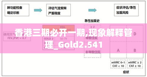 香港三期必开一期,现象解释管理_Gold2.541