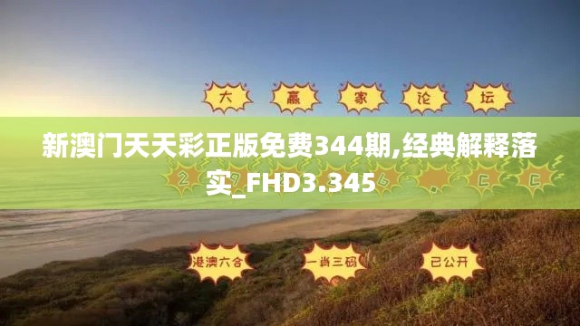 新澳门天天彩正版免费344期,经典解释落实_FHD3.345