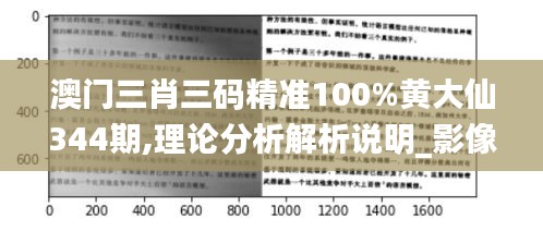 澳门三肖三码精准100%黄大仙344期,理论分析解析说明_影像版4.836