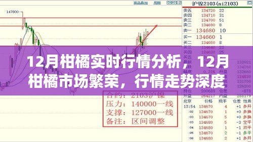 12月柑橘市场繁荣，实时行情分析与深度解读