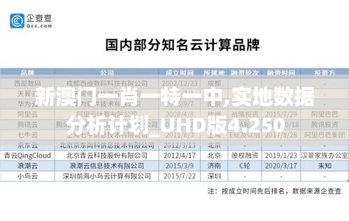 新澳门一肖一特一中,实地数据分析计划_UHD版4.250