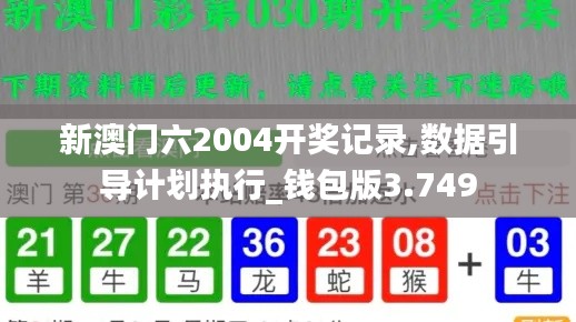 新澳门六2004开奖记录,数据引导计划执行_钱包版3.749