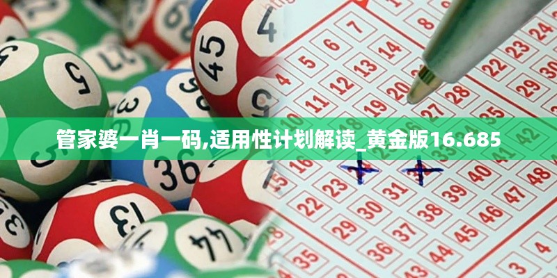 管家婆一肖一码,适用性计划解读_黄金版16.685