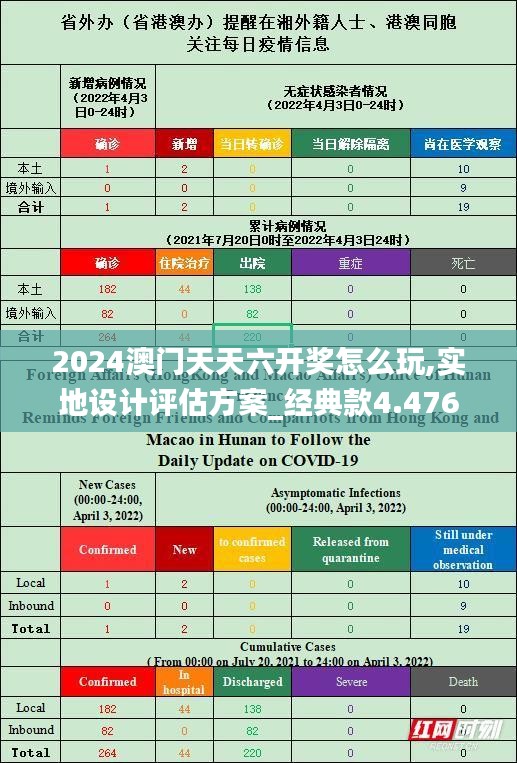 2024澳门天天六开奖怎么玩,实地设计评估方案_经典款4.476