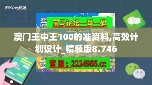 澳门王中王100的准资料,高效计划设计_精装版8.746