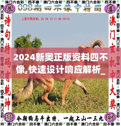 2024新奥正版资料四不像,快速设计响应解析_领航款4.916