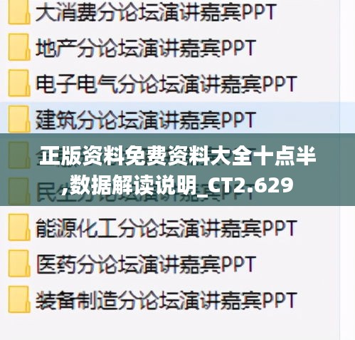 正版资料免费资料大全十点半,数据解读说明_CT2.629