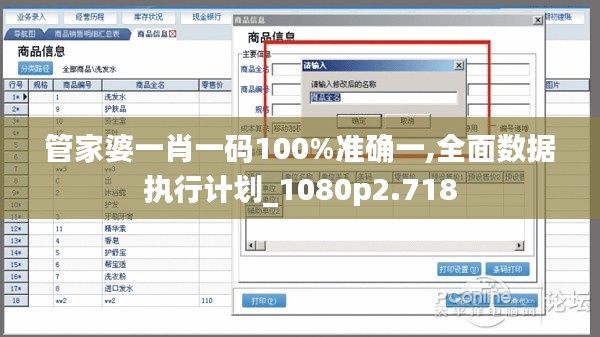 管家婆一肖一码100%准确一,全面数据执行计划_1080p2.718