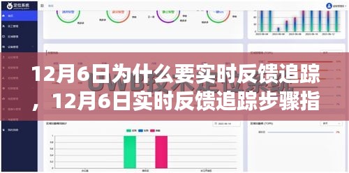 12月6日实时反馈追踪，步骤指南与任务完成助力技能提升