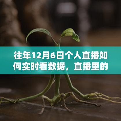 往年12月6日直播回顾，数据魔法与友情盛宴中的暖心时光