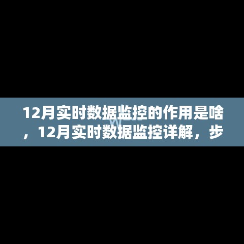 12月实时数据监控详解，作用、步骤指南与技能掌握全攻略