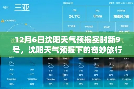 沈阳天气预报下的自然探索之旅，寻找内心的平静与美景