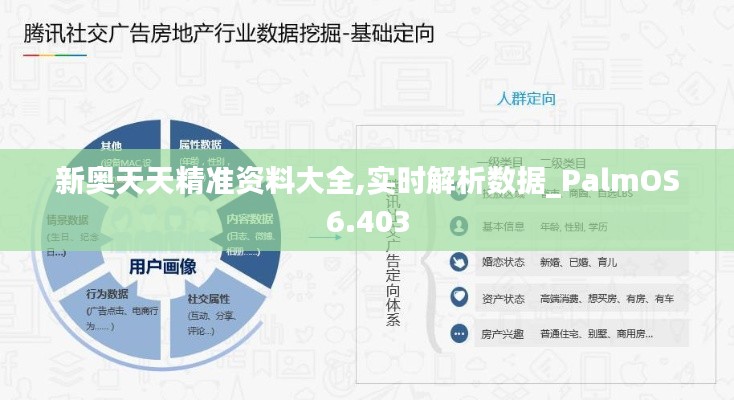 新奥天天精准资料大全,实时解析数据_PalmOS6.403