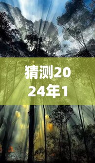 欢乐逛山之旅，暖阳下的山涧奇遇（2024年12月6日）