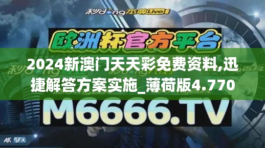 2024新澳门天天彩免费资料,迅捷解答方案实施_薄荷版4.770