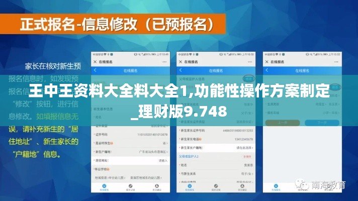 王中王资料大全料大全1,功能性操作方案制定_理财版9.748