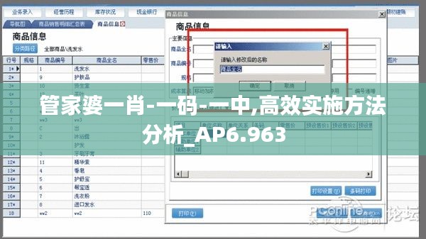 管家婆一肖-一码-一中,高效实施方法分析_AP6.963