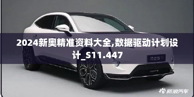 2024新奥精准资料大全,数据驱动计划设计_S11.447