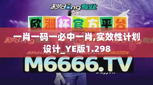 一肖一码一必中一肖,实效性计划设计_YE版1.298