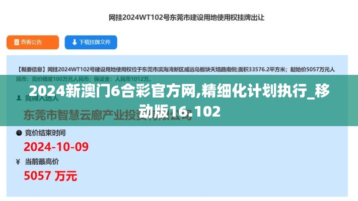 2024新澳门6合彩官方网,精细化计划执行_移动版16.102