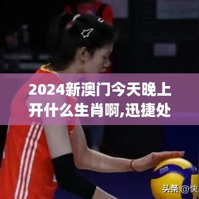 2024新澳门今天晚上开什么生肖啊,迅捷处理问题解答_增强版18.108