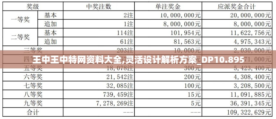 王中王中特网资料大全,灵活设计解析方案_DP10.895