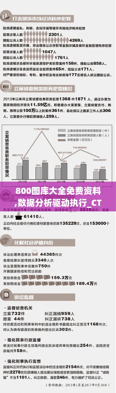 800图库大全免费资料,数据分析驱动执行_CT1.243