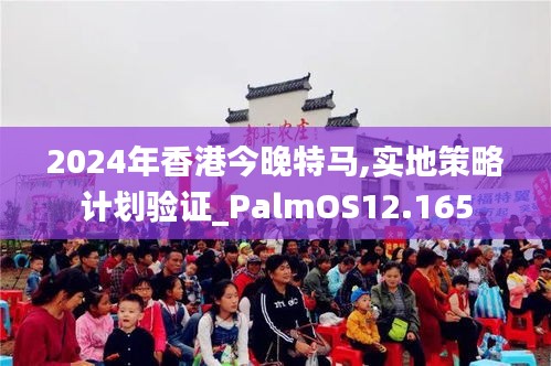 2024年香港今晚特马,实地策略计划验证_PalmOS12.165